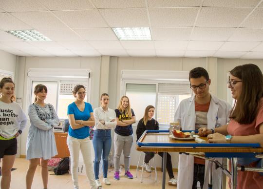 Grado Terapia Ocupacional UCAM Prácticas