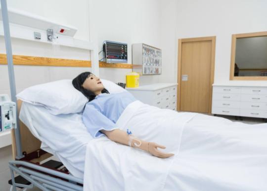 Gestión y Planificación de Servicios Sanitarios