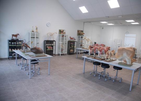 UCAM Veterinaria instalaciones