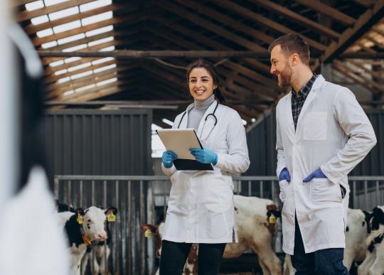 Veterinaria bilingüe