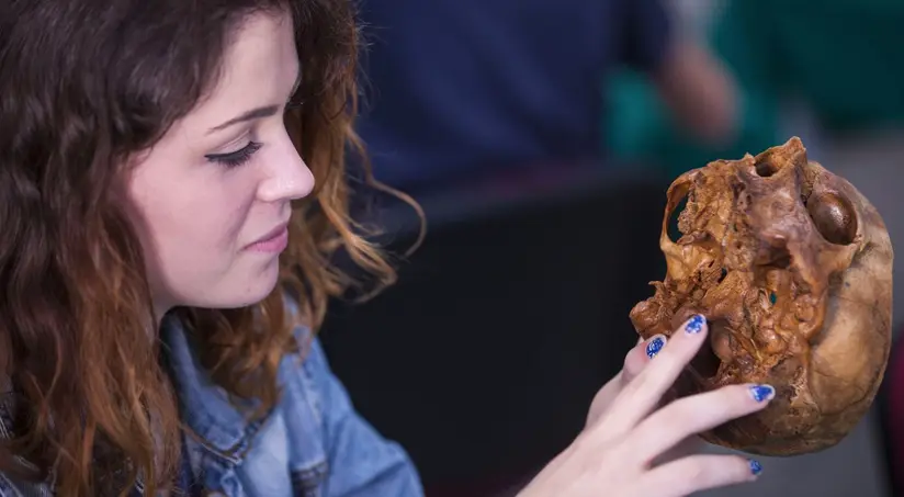 Sala de Anatomía en UCAM con 6 mesas para 36 alumnos, equipada con maquetas, huesos humanos, pizarra y cañón para visualización de estructuras anatómicas. Utilizada por los alumnos de ciencias de la salud como el