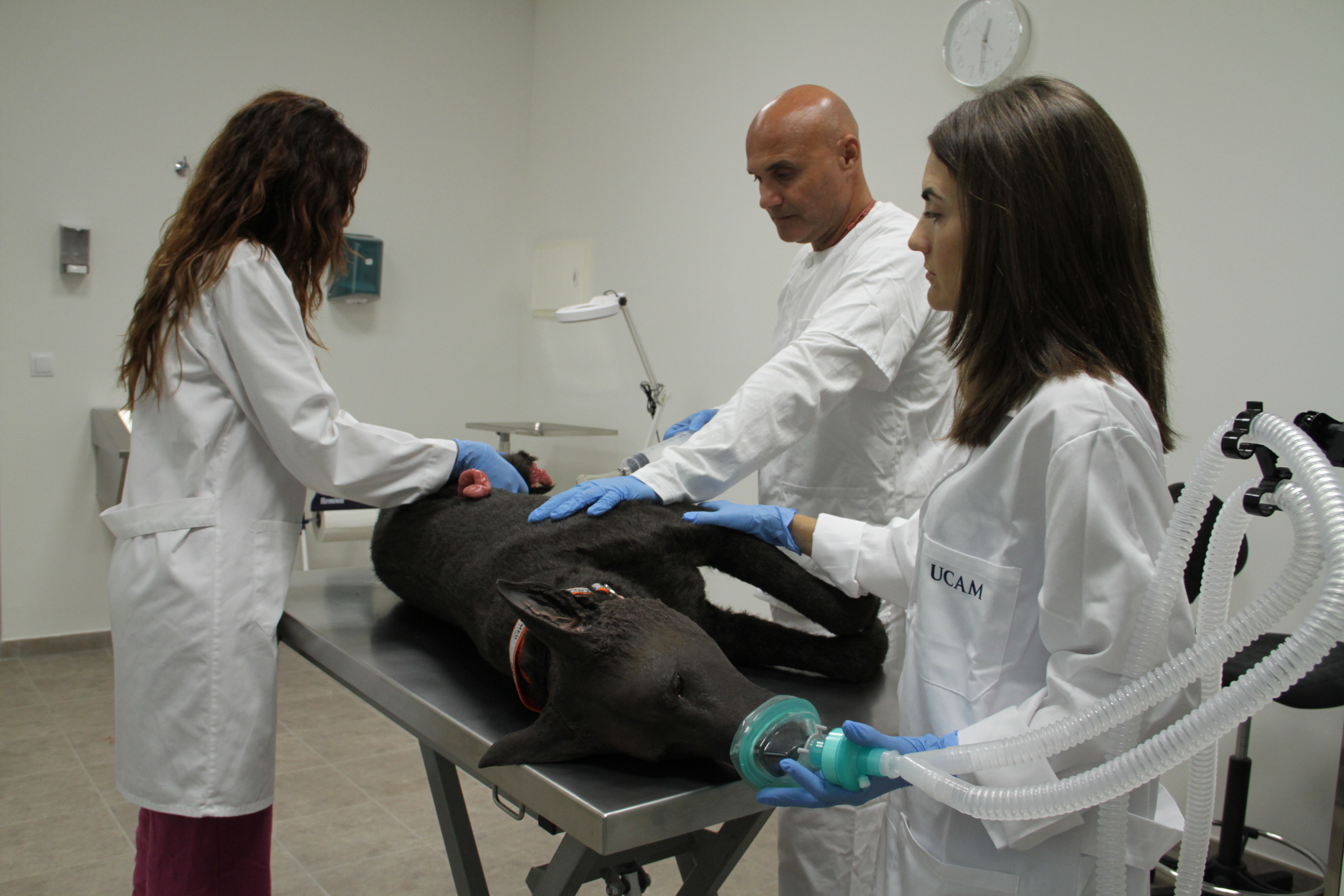 Simuladores de alta gama