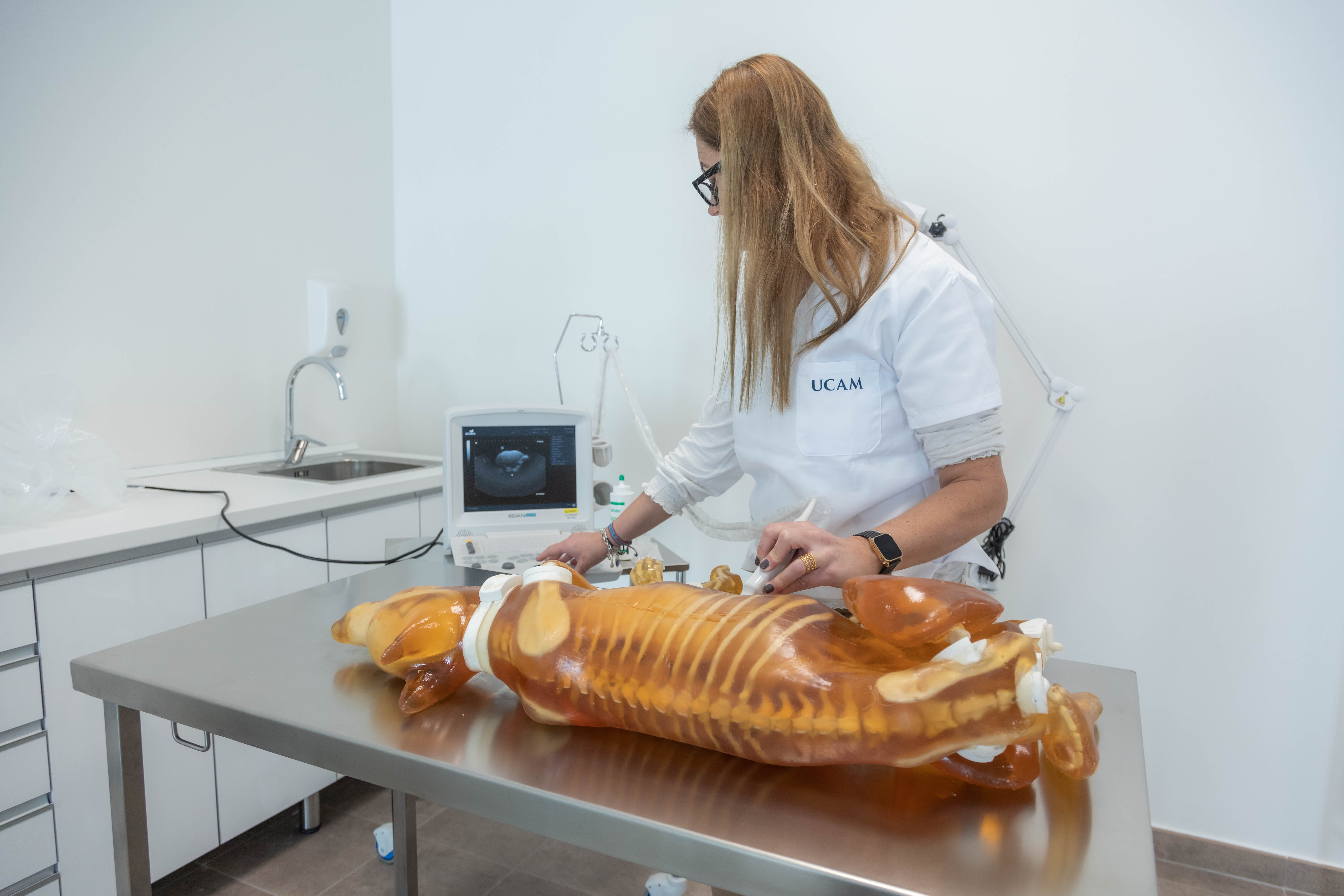  Fantoma Canino para radiografía, ecografía y TC, en la sala de consulta del hospital de simulación clínica