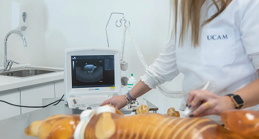 UCAM Hospital Veterinario