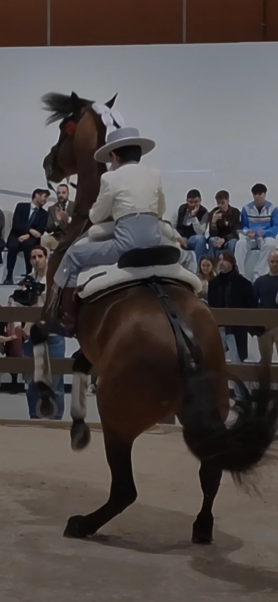  Inaugurado el Hospital Veterinario Universitario de la UCAM