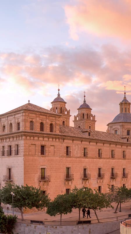 Servicios Ucam Universidad Catolica De Murcia