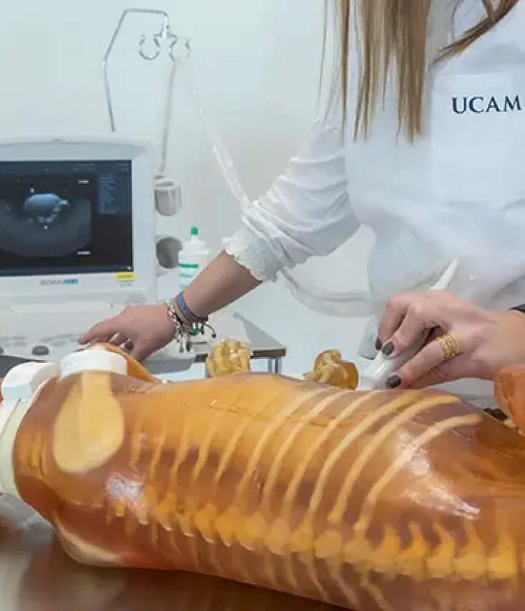 Estudiante de veterinaria en murcia realizando prácticas de diagnóstico animal en el simulador de UCAM Universidad.