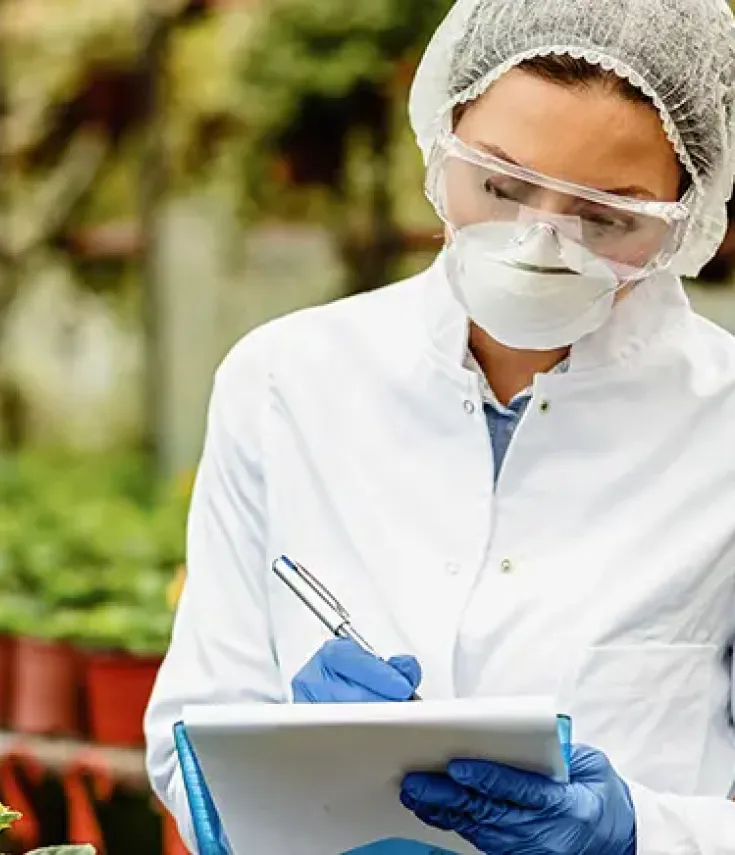 Profesional del área de Ciencias y Tecnología de los Alimentos de la UCAM realiza controles de calidad y toma de datos en un invernadero, reflejando la conexión entre investigación, seguridad alimentaria y sostenibilidad.