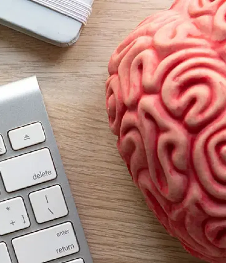 Modelo de cerebro humano sobre escritorio con teclado en las aulas del Máster en Neuroeducación UCAM