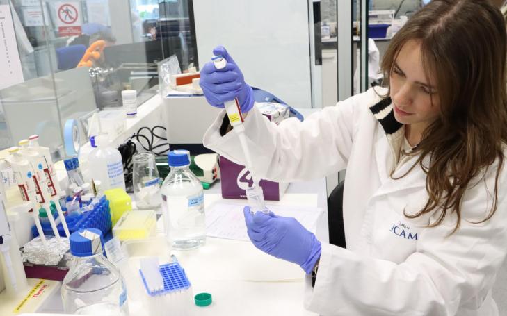 Investigación embarazadas