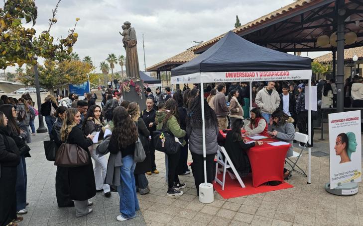 Universidad y discapacidad