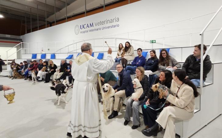 Bendición de animales