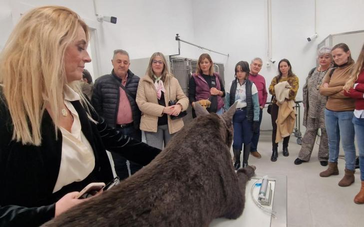 Veterinaria UCAM Hospital