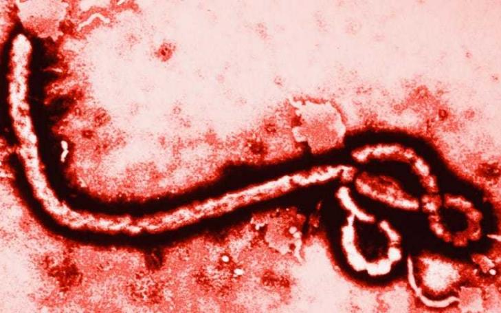 La Comunicación, estrategia para abordar con eficacia las alarmas sociales: ante el Ébola, ¿Alerta o Alarma?