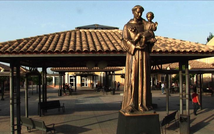 El Consejo de Universidades verifica positivamente el Grado en Medicina de la UCAM