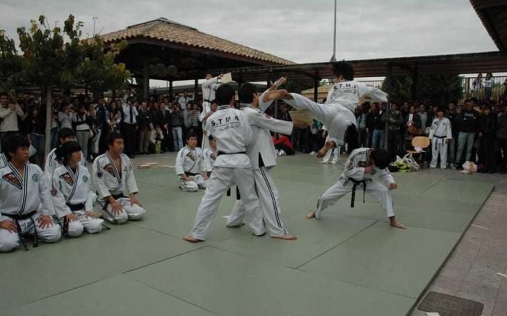 Los maestros del Hap Ki Do se exhiben en la UCAM