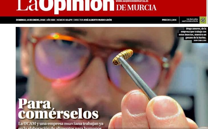 La investigación de la UCAM con insectos, portada en La Opinión