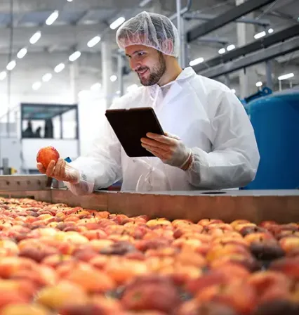 Estudiante del área de Ciencias y Tecnología de los Alimentos de la UCAM evalúa la calidad de frutas en una planta de procesamiento, reflejando la formación práctica y el trabajo aplicado en seguridad y control alimentario.