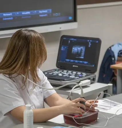 Entorno universitario conectado con la profesión