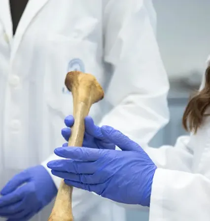 Estudiantes del grado en medicina estudiando la anatomía humana a partir de la observación empírica de huesos humanos.