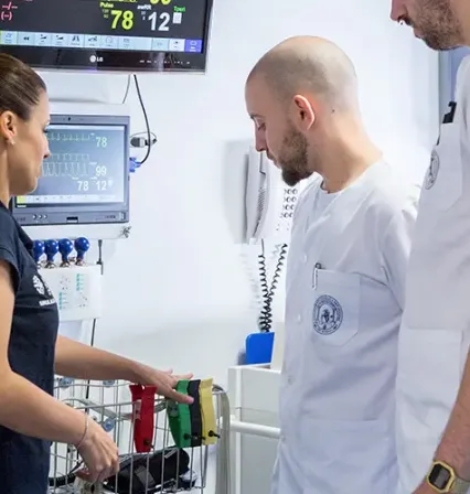 Estudiantes del grado en enfermería trabajando en el hospital simulado.