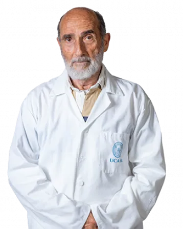 Luis Prieto Valiente