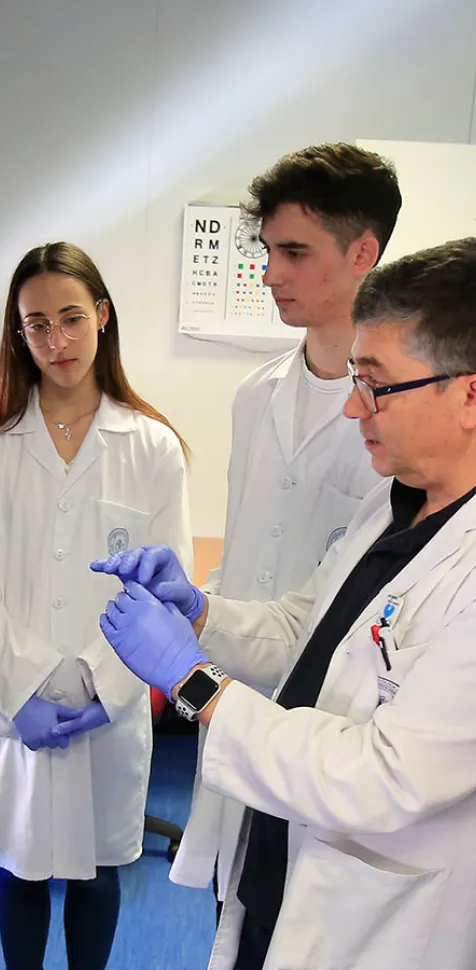 Grado en Medicina - Presencial