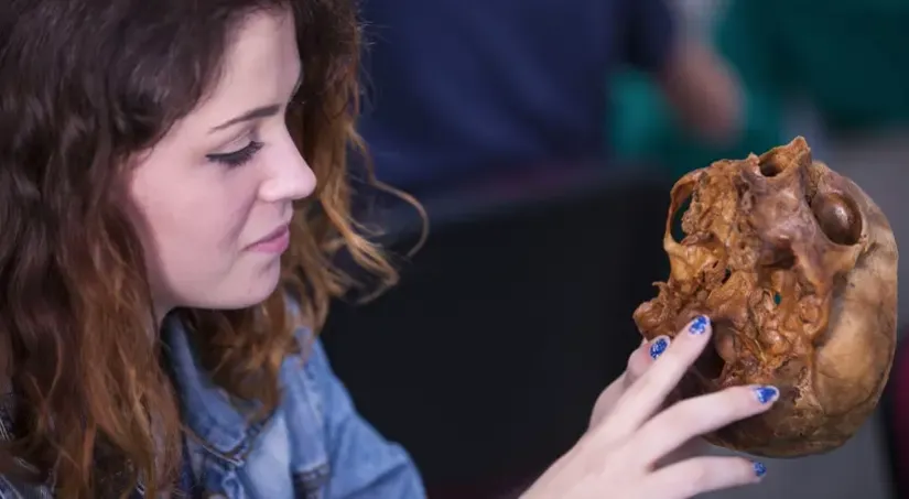 Sala de Anatomía en UCAM con 6 mesas para 36 alumnos, equipada con maquetas, huesos humanos, pizarra y cañón para visualización de estructuras anatómicas. Utilizada por los alumnos de ciencias de la salud como el Grado en Enfermería