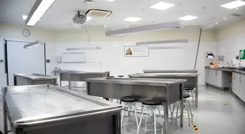 Sala de disección en UCAM con 6 mesas de acero para 24 alumnos, iluminación especializada, grifos y lavabos para higiene, negatoscopio, y sistemas de reciclaje de aire. Utilizada en el Grado en medicina