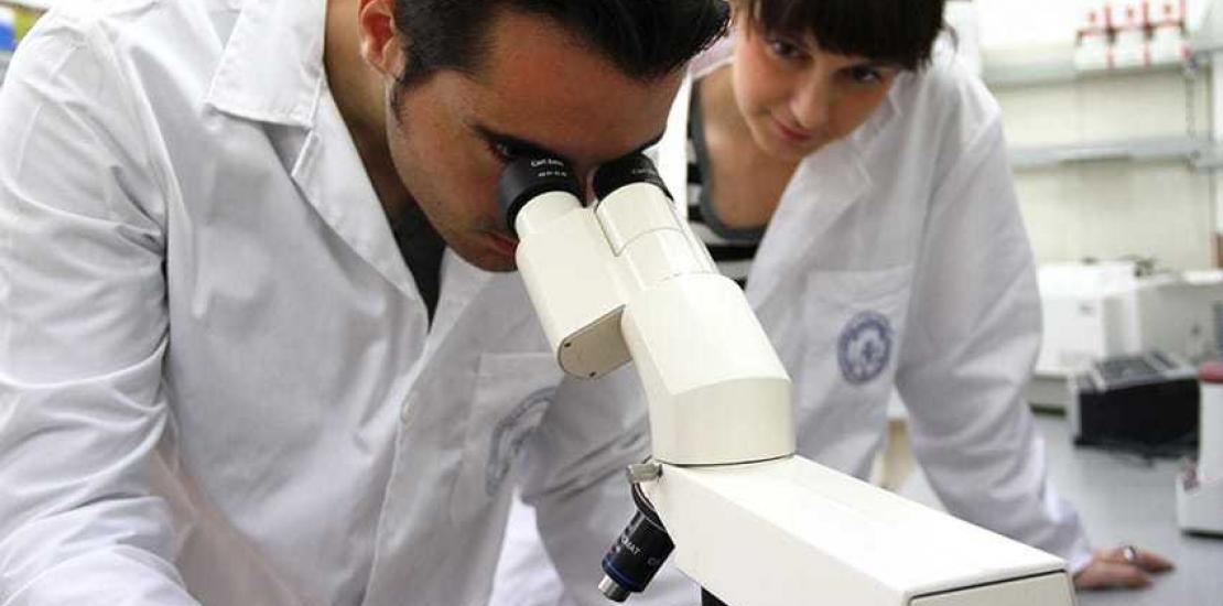 La UCAM estudiará la eficacia de dos suplementos alimenticios naturales en la calidad de vida de personas con sobrepeso