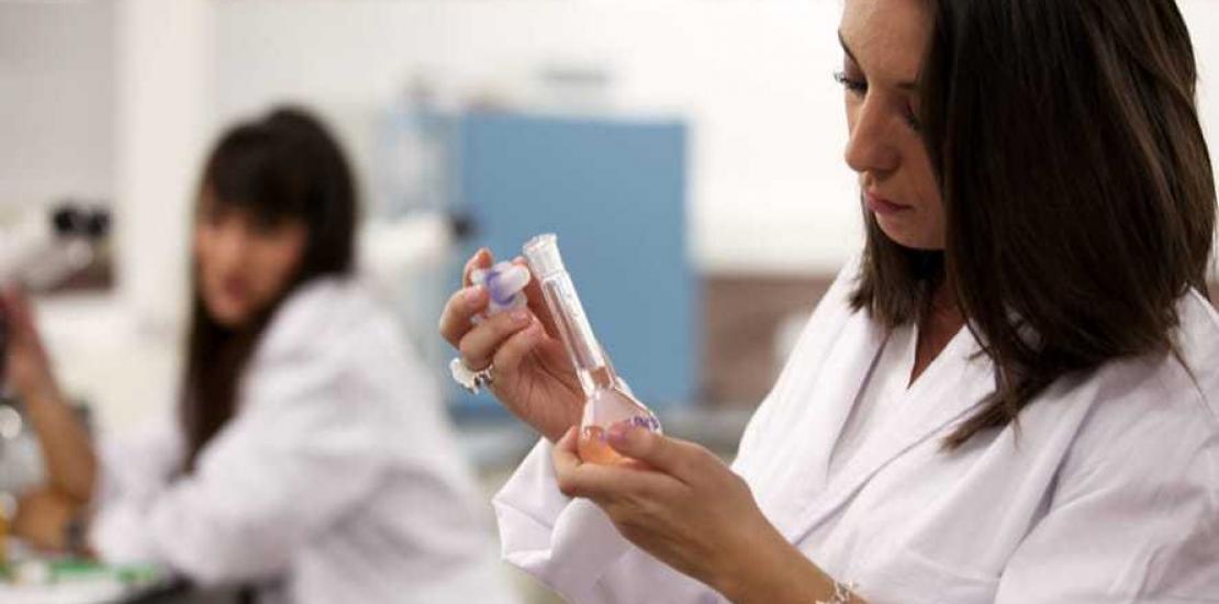 El programa de Doctorados Industriales permite a trece jóvenes investigar en empresas de la Región