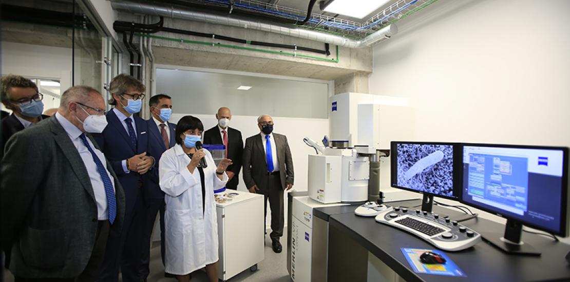 HiTech, microscopio electrónico de barrido