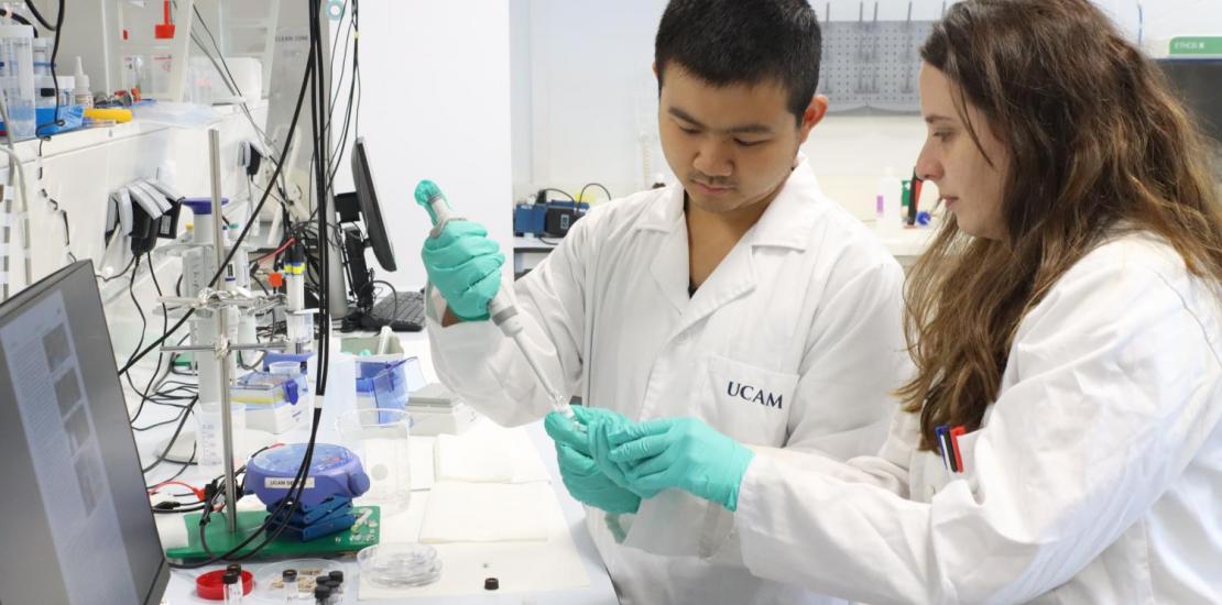  Los investigadores Águeda Molinero y Qianyu Wang, dirigidos por los profesores María Cuartero y Gastón Crespo, codirectores de la Unidad de Química de Sensores UCAM SENS.
