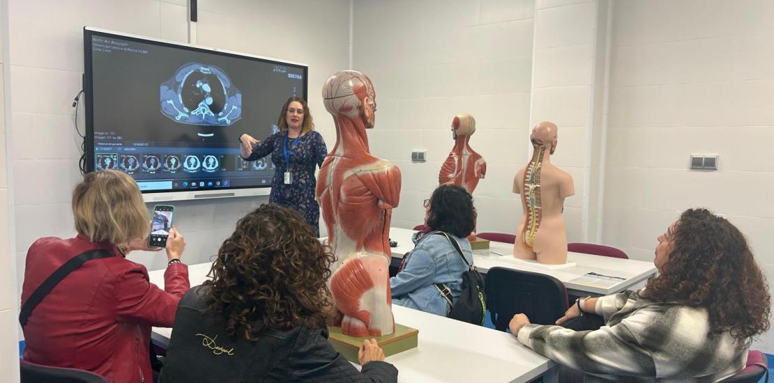 Investigación, proyecto, salud pública