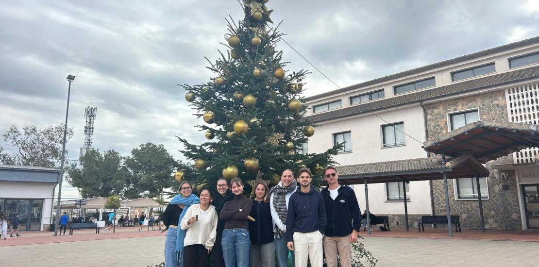 Navidad, Familia, Vacaciones