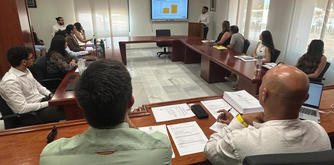 TFG, Odontología, Bilingüe