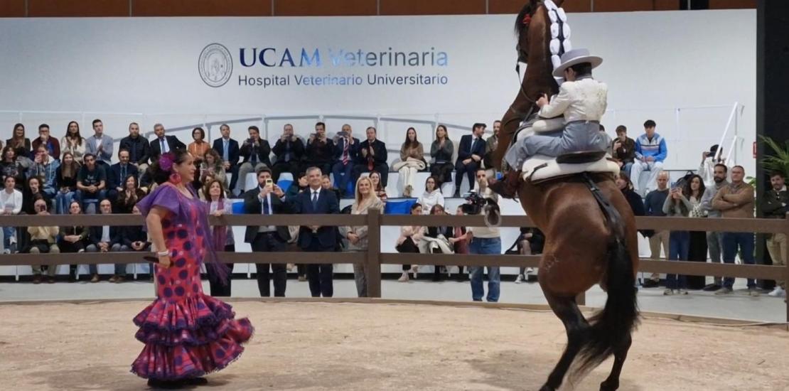 Hospital Veterinario