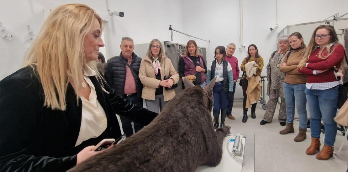 Veterinaria UCAM Hospital