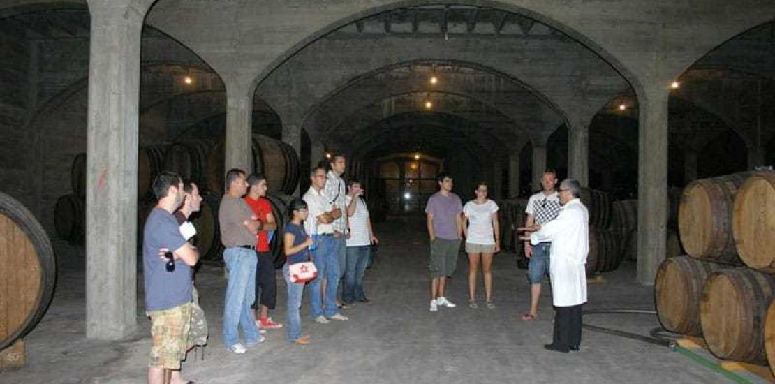 Curso práctico sobre Enología en la Universidad de Verano UCAM 2009
