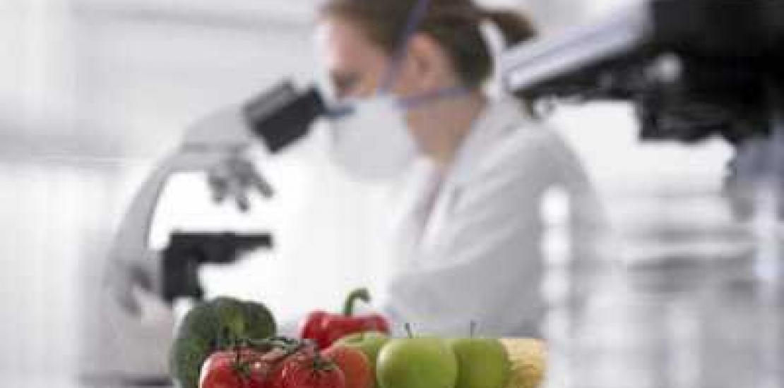 Una investigadora de la UCAM colabora con el Reina Sofía en estudio sobre pacientes críticos