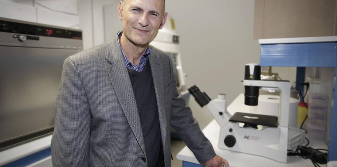 ‘Science’ difunde los últimos avances de Izpisua para tratar el cáncer provocado por factores externos