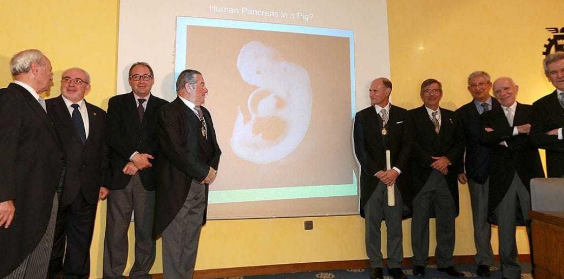 El doctor Izpisua, miembro de Honor de la Real Academia de Medicina y Cirugía