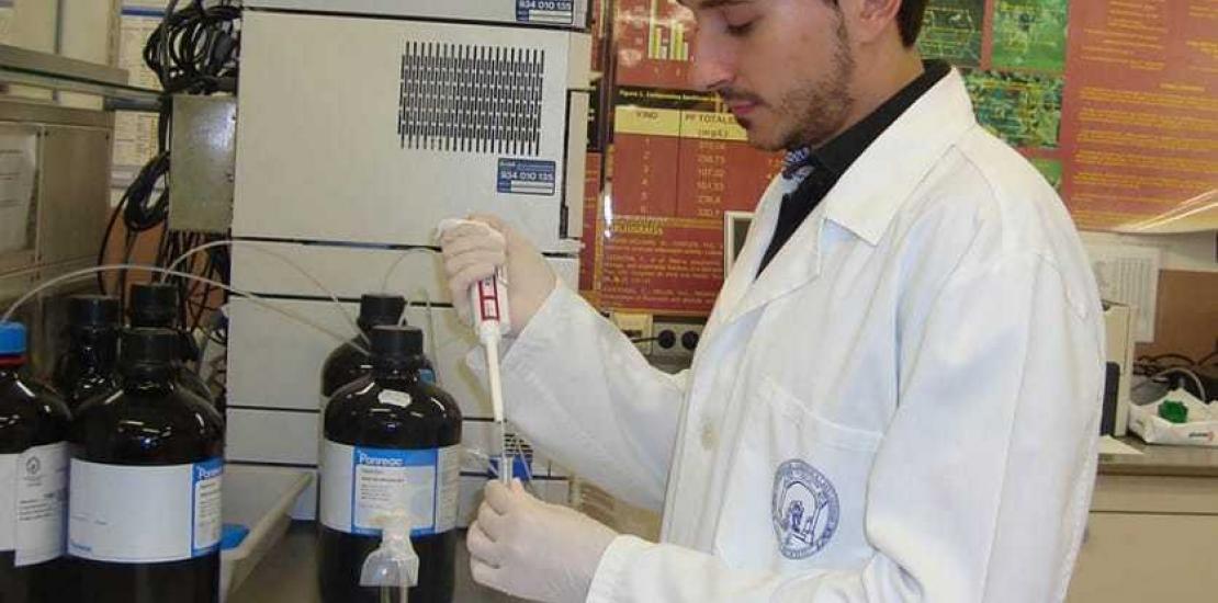 Muestra los beneficios de una bebida antioxidante en la enfermedad de Alzheimer