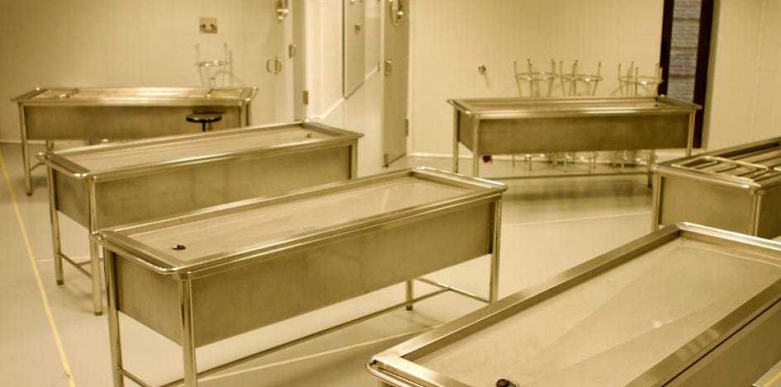 La ANECA da el sí definitivo a Medicina en la UCAM