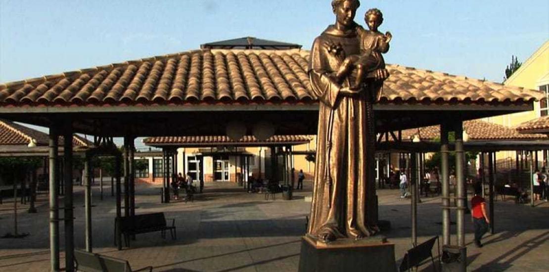 La UCAM abre sus puertas a toda la sociedad