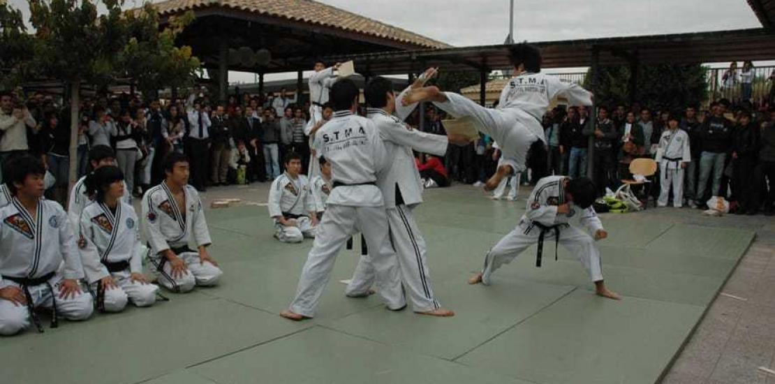Los maestros del Hap Ki Do se exhiben en la UCAM