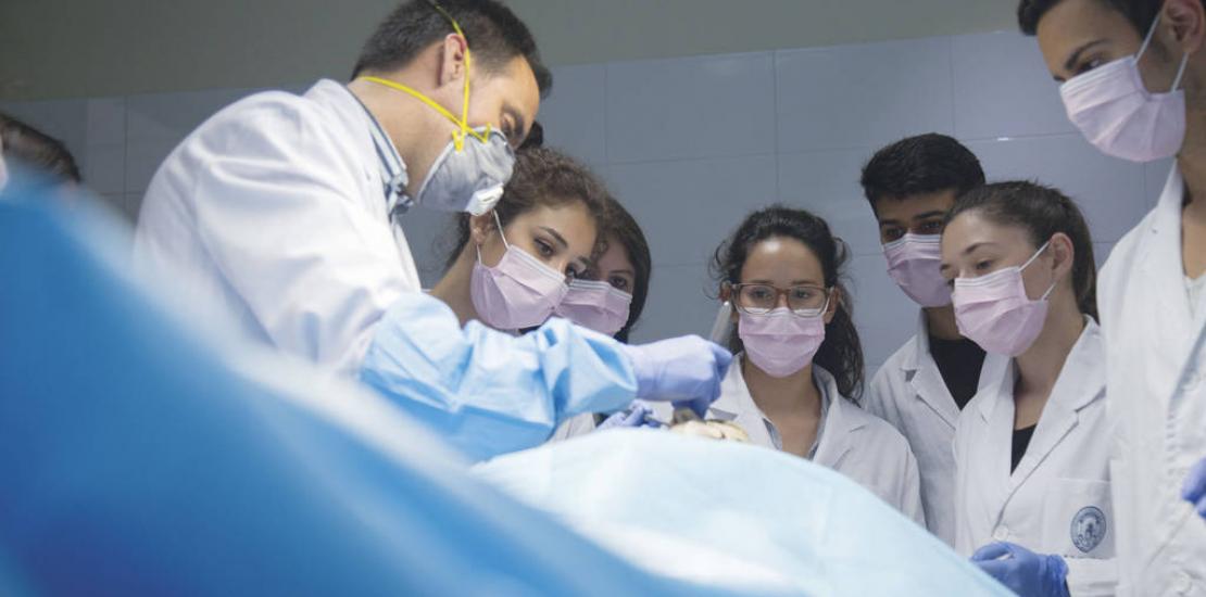 Odontología, alta formación científica y práctica