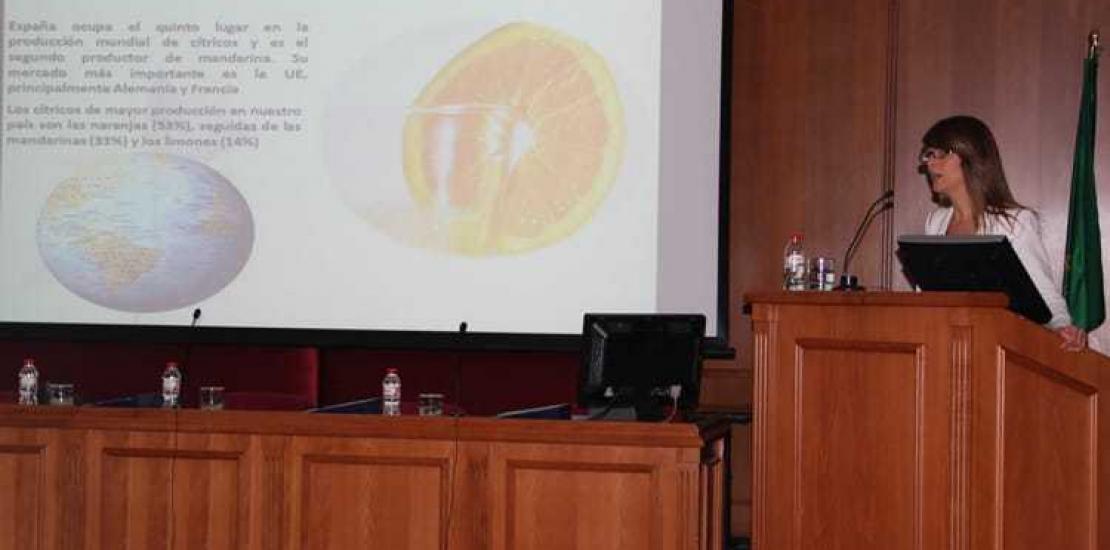 Un estudio de la UCAM desarrolla nuevas técnicas para determinar plaguicidas en zumos de mandarina