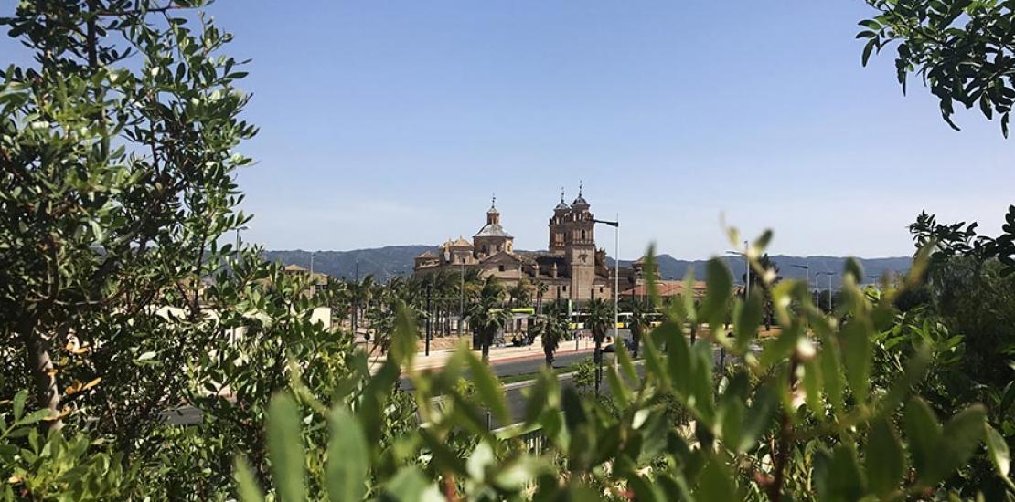 La UCAM impulsa un proyecto de Adaptación al Cambio Climático basado en Economía Circular 