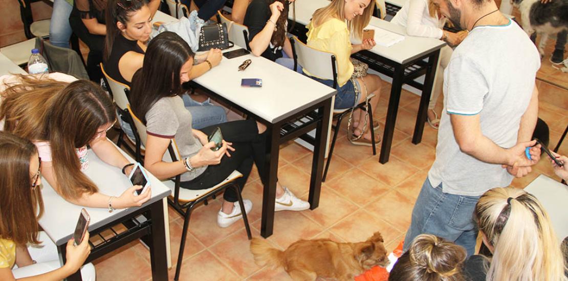 “Las terapias con animales también se emplean para ayudar a resolver problemas psicoemocionales&quot;